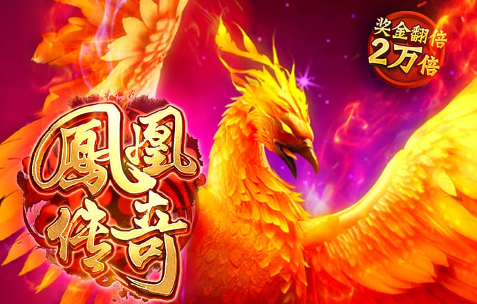 奧門新浦京